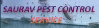 SAURAV PEST CONTROL SERVICE IN DANAPUR 8271594362